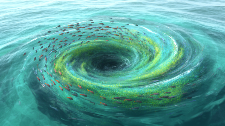 Hidden Ocean Whirlpools: Tiny Eddies Reshape Life on Western Australia’s Shelf
