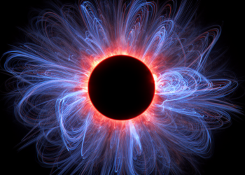 Linear Polarimetry Maps Complex Solar Corona Structure During 2024 Eclipse
