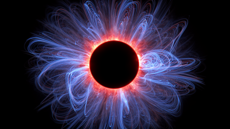 Linear Polarimetry Maps Complex Solar Corona Structure During 2024 Eclipse
