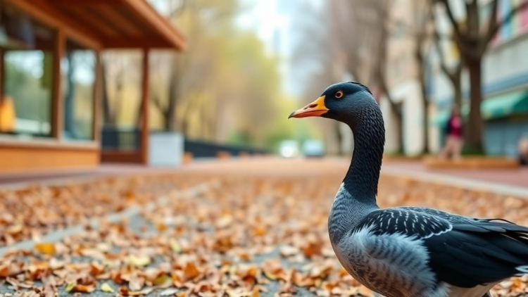 Coot-Inspired AI Hits 97.9% Accuracy in Reading Text Hidden in Real-World Scenes