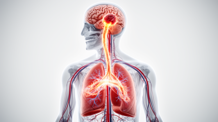 Rare Brain Abscess Linked to Asymptomatic Pulmonary Arteriovenous Fistula