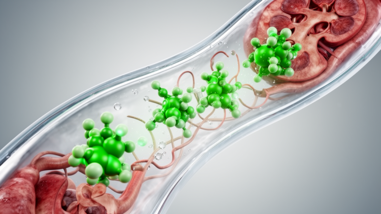 Urinary Succinate Emerges as Potential Non-Invasive Biomarker for Diabetic Kidney Disease