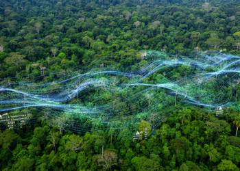 Radar Time Series Standardized to Track Congo Forest Loss in Weeks, Not Months