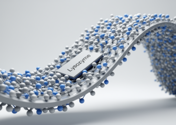 Lysozyme Coating Stabilizes MXene for Durable Flexible Strain Sensors