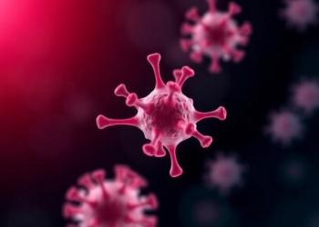 Drug-Resistant Superbug Strain Found in Newborn’s Blood Reveals Alarming Genomic Arsenal