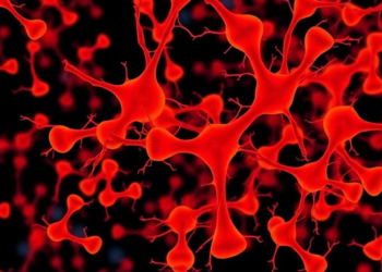 Aging Rewires Neutrophils Across the Body, Single-Cell Map Reveals