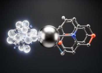 Nickel catalyst pairs anionic and neutral ligands to steer cyclohexane stereochemistry