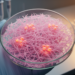 Ageing extracellular matrix emerges as a hidden variable in 3D cancer models