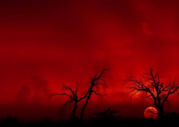 Black carbon aerosols worsened India’s deadly 2015 heatwave