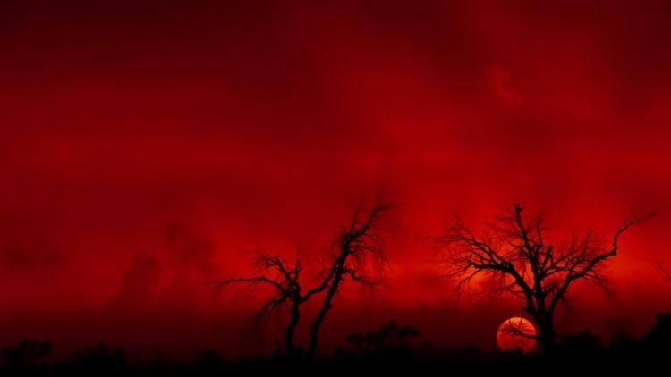Black carbon aerosols worsened India’s deadly 2015 heatwave