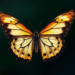 Butterfly wings create illusions that may confuse predators in flight