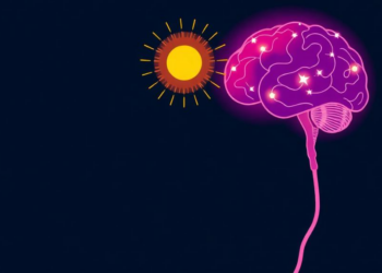 Optimism and Hope Follow Separate Brain Routes to Well-Being in University Lecturers