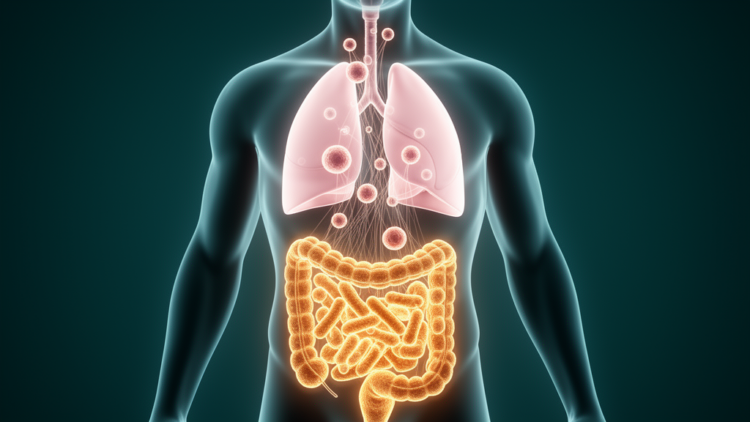 Gut microbes may decide who responds to lung cancer immunotherapy