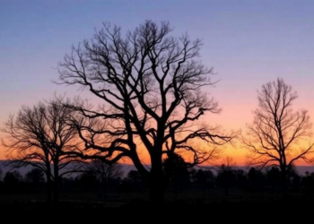Hidden Temperature Errors May Understate Climate Impacts by 15% or More