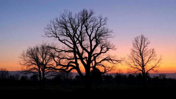 Hidden Temperature Errors May Understate Climate Impacts by 15% or More
