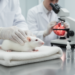 Floralozone Shows Cardioprotective Effects in Doxorubicin-Induced Heart Failure in Rats