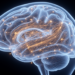 Neonatal brain network growth tracks early cognitive, language and motor outcomes in critical congenital heart disease