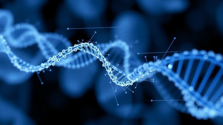 Graph Transformer Model Aims to Sharpen RNA Velocity Predictions in Single-Cell Genomics