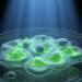 Light-Driven Calcium Pulses Reveal How Cells Decode Signaling Timing