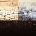 Droughts and Floods Are Dismantling the Soil Microbiome That Sustains Ecosystems