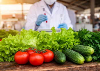 Pesticides, Nitrate and Heavy Metals Found in Raw-Eaten Vegetables from Konya