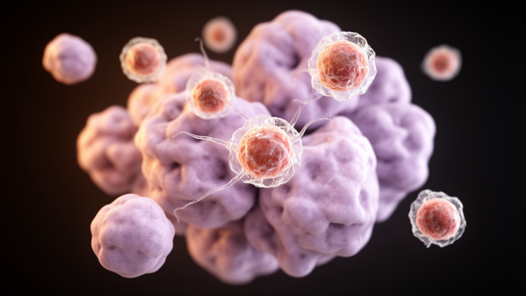 T cells in AML are not uniformly dysfunctional, researchers argue in new analysis