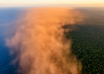 African dust plumes carry microbes across the Atlantic into the Amazon rainforest