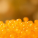 Tiny Zinc Oxide Dots on a Borneol Polymer Wipe Out Bacteria as Well as Antibiotics