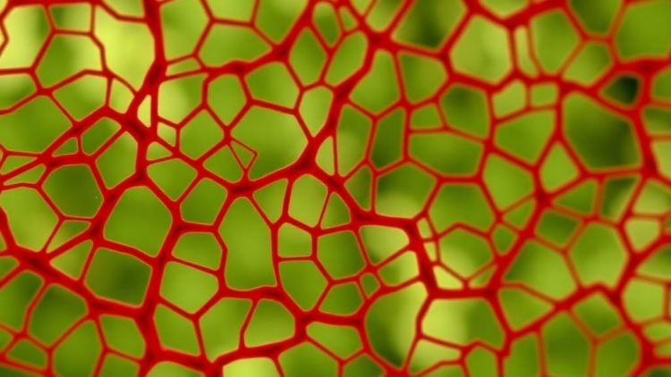 Hidden Mutation Rates in Healthy Tissue May Explain Who Develops Cancer