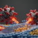 Receptor promiscuity in bat sarbecoviruses exposes conserved spike targets