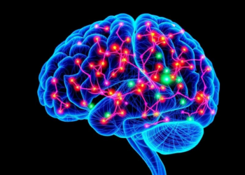 Single-Cell Map Reveals How the Epileptic Brain Rewires Its Connections