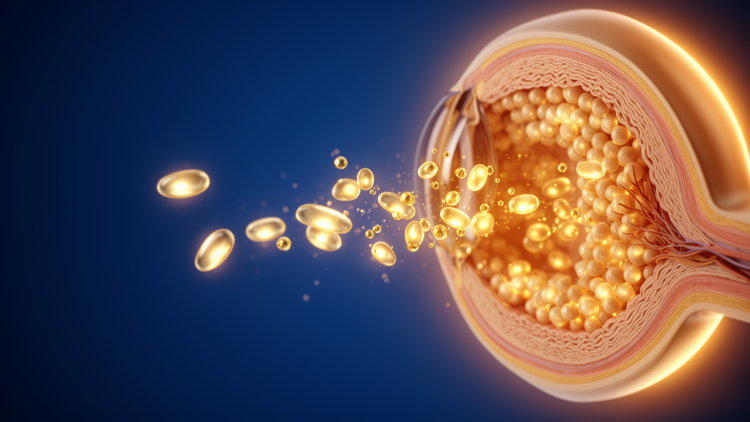 Can Metabolic Supplements Slow Retinal Aging? Review Weighs the Evidence