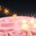 Thyroid Hormone Carrier TTR Pushes Young Brain Stem Cells Toward Differentiation in Mice