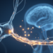 Fast Sodium Correction May Not Independently Raise Demyelination Risk in Severe Hyponatremia
