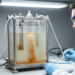 Dissolved iron impurities drive green hydrogen electrolyzer degradation during power interruptions