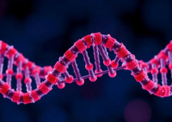 Single RNA Letter Swap Turns a Thyroid microRNA From Tumor Suppressor Into Cancer Driver