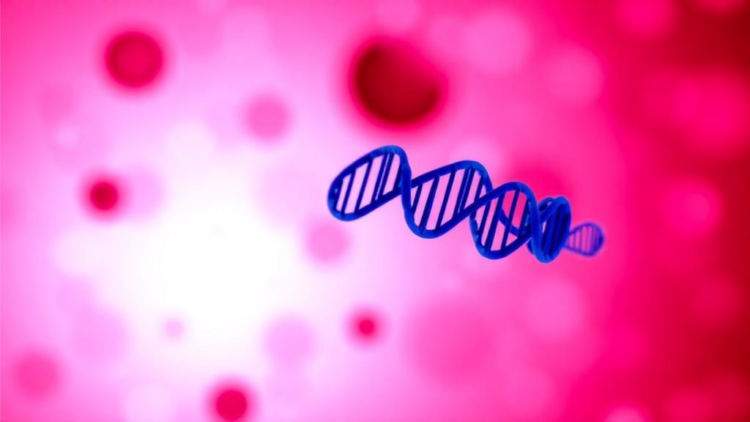 Platelet RNA Reveals Hidden Molecular Fingerprints of Glioblastoma in a Simple Blood Test