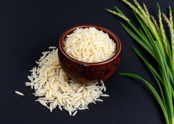 Drought-Grown Yunnan Rice Packs More Flavor and a Lower Glycemic Punch Than Paddy Rice