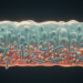 Gut Microbes in Colorectal Cancer: Why Species Lists Are Not Enough