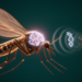 Gene behind male mosquitoes’ attraction to female wingbeats identified