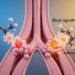 Asthma biologics omalizumab and dupilumab both ease symptoms but move IgE in opposite directions