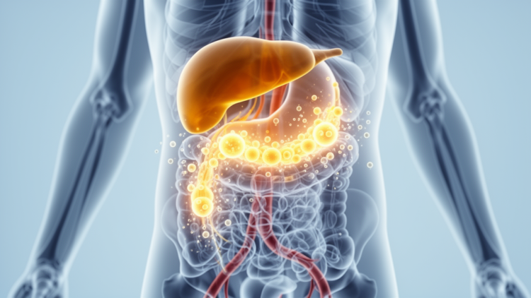 Immunotherapy plus chemotherapy shows durable responses in lymph-node-dominant metastatic gallbladder cancer