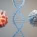 Shared Genetic Links Between Rheumatoid Arthritis and White Blood Cell Traits Revealed