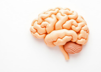 Ancient Chinese Herb Polysaccharide Slows Aging Through Gut and Brain Pathways
