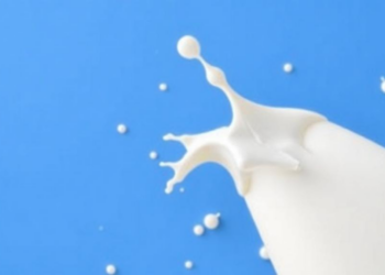Milk Makes Staphylococcus aureus Thicker, Tougher and Harder to Treat
