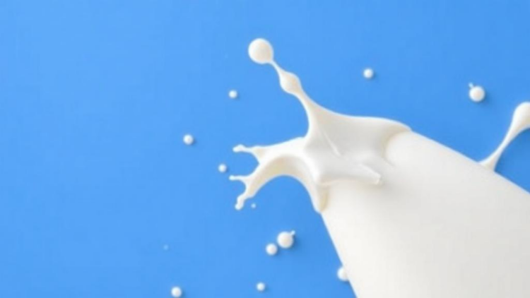 Milk Makes Staphylococcus aureus Thicker, Tougher and Harder to Treat