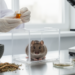 Traditional Chinese Medicine Formula Shows Ovarian Protection in Rat Study