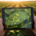 Lightweight hybrid transformer model detects plant diseases with over 99% accuracy