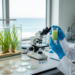 Scientists isolate bacteria predicted to boost seagrass growth and restoration