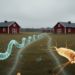 Resistant Campylobacter clones spread between nearby Finnish broiler farms rather than passing down from breeder flocks